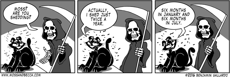 Comic strip
